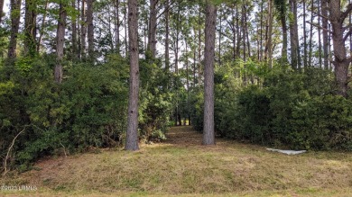 Nearly an acre of tranquility awaits! Fantastic marsh views with on The Sanctuary Golf Club At Cat Island in South Carolina - for sale on GolfHomes.com, golf home, golf lot