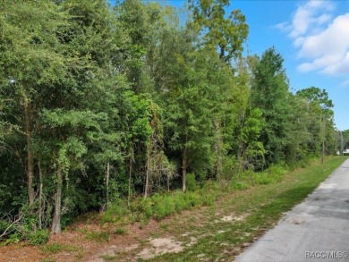Prime Commercial Land - 7.09 Acres in Sugarmill Woods on Sugarmill Woods Golf and Country Club in Florida - for sale on GolfHomes.com, golf home, golf lot