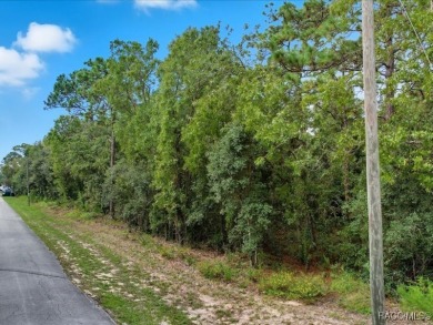 Prime Commercial Land - 7.09 Acres in Sugarmill Woods on Sugarmill Woods Golf and Country Club in Florida - for sale on GolfHomes.com, golf home, golf lot