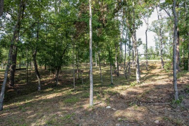 Seize this rare opportunity to own a stunning lakefront lot in on Reynolds Lake Oconee - The Oconee in Georgia - for sale on GolfHomes.com, golf home, golf lot