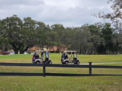 Can you imagine living in a golf course community with all of on Meadow Oaks Golf and Country Club in Florida - for sale on GolfHomes.com, golf home, golf lot