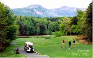 Private, LAKEFRONT LOT on beautiful Lake Lure! Located in on Rumbling Bald Resort on Lake Lure in North Carolina - for sale on GolfHomes.com, golf home, golf lot