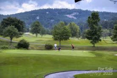 Private, LAKEFRONT LOT on beautiful Lake Lure! Located in on Rumbling Bald Resort on Lake Lure in North Carolina - for sale on GolfHomes.com, golf home, golf lot