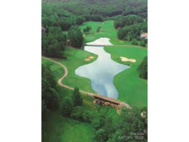 Private, LAKEFRONT LOT on beautiful Lake Lure! Located in on Rumbling Bald Resort on Lake Lure in North Carolina - for sale on GolfHomes.com, golf home, golf lot