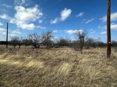 BUILD YOUR DREAM HOME IN WONDERFUL COMMUNITY AT LAKE BROWNWOOD! on Hideout Golf Club and Resort  in Texas - for sale on GolfHomes.com, golf home, golf lot