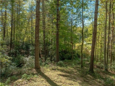 Beautiful 1 acre homesite overlooking the #9 green and fairway on The Cliffs At Keowee Vineyards Golf Club in South Carolina - for sale on GolfHomes.com, golf home, golf lot