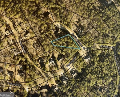 New Construction to be built in Turtle Cove at a great price!! on Turtle Cove Golf Course in Georgia - for sale on GolfHomes.com, golf home, golf lot