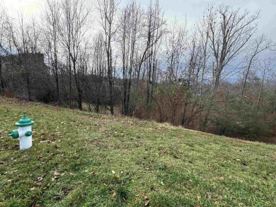 Looking to build your dream home, yet have the conveniences of on Guyan Golf and Country Club in West Virginia - for sale on GolfHomes.com, golf home, golf lot