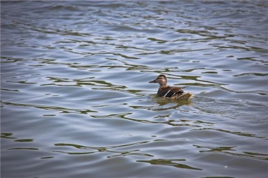 ***SOLD BEFORE PROCESSING, but don't worry you didn't miss out on Golf Club of Creekmoor in Missouri - for sale on GolfHomes.com, golf home, golf lot