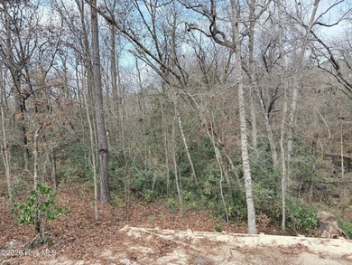 SPECIAL YEAR END SAVINGS from the builder - new price!! Welcome on Magnolia Greens Golf Plantation in North Carolina - for sale on GolfHomes.com, golf home, golf lot