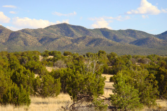 Incredible Value for 5-acres! Best price per acre in the on Paa-Ko Ridge Golf Club  in New Mexico - for sale on GolfHomes.com, golf home, golf lot