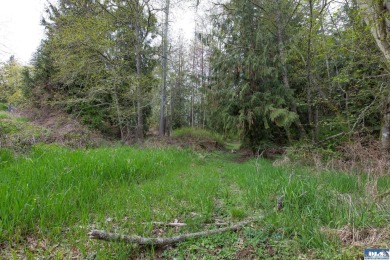Lovely, private 2.44 acre parcel just inside the city limits on Peninsula Golf Club Inc. in Washington - for sale on GolfHomes.com, golf home, golf lot