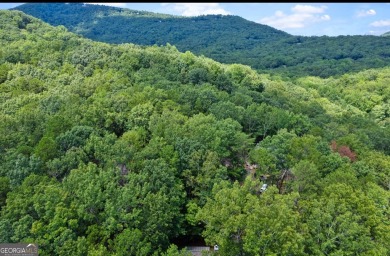 Enchanting Big Canoe Retreat: A Fairy-Tale North Georgia on Big Canoe Golf Club - Cherokee in Georgia - for sale on GolfHomes.com, golf home, golf lot