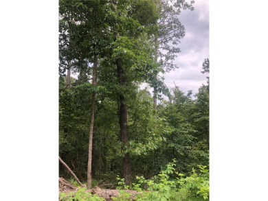 Nice building lot in the 71 corridor of Bella Vista. Close to on Bella Vista Country Club and Golf Course in Arkansas - for sale on GolfHomes.com, golf home, golf lot