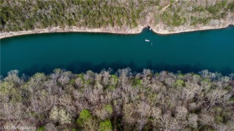 Is a lake front lot what you desire? Do you want seclusion and on Holiday Island Golf Course in Arkansas - for sale on GolfHomes.com, golf home, golf lot