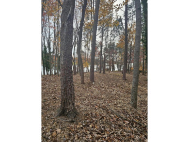 The perfect lakefront lot in the perfect location! on Mariners Landing Golf and Country Club in Virginia - for sale on GolfHomes.com, golf home, golf lot