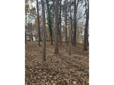 The perfect lakefront lot in the perfect location! on Mariners Landing Golf and Country Club in Virginia - for sale on GolfHomes.com, golf home, golf lot