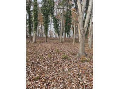 The perfect lakefront lot in the perfect location! on Mariners Landing Golf and Country Club in Virginia - for sale on GolfHomes.com, golf home, golf lot