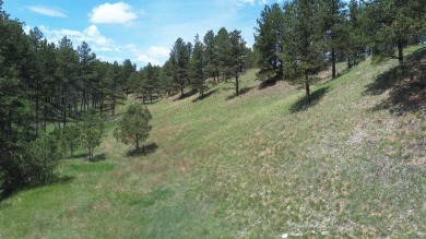 Large 2.19 acre building site tucked away in the trees off of on Southern Hills Golf Course in South Dakota - for sale on GolfHomes.com, golf home, golf lot