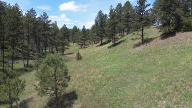 Large 2.19 acre building site tucked away in the trees off of on Southern Hills Golf Course in South Dakota - for sale on GolfHomes.com, golf home, golf lot