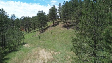 Large 2.19 acre building site tucked away in the trees off of on Southern Hills Golf Course in South Dakota - for sale on GolfHomes.com, golf home, golf lot