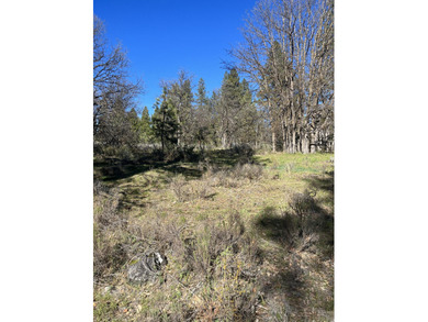 Enjoy living on the famous Arnold Palmer golf course at the on Running Y Ranch Resort in Oregon - for sale on GolfHomes.com, golf home, golf lot