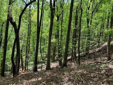 Buildable Lot in Beautiful Big Canoe  Price Reduction and bonus on Big Canoe Golf Club - Cherokee in Georgia - for sale on GolfHomes.com, golf home, golf lot