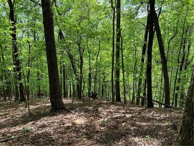 Buildable Lot in Beautiful Big Canoe  Price Reduction and bonus on Big Canoe Golf Club - Cherokee in Georgia - for sale on GolfHomes.com, golf home, golf lot