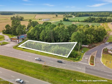 Commercial location in Ocean Isle Beach, NC :  27,000 Annual on Sea Trail Golf Resort in North Carolina - for sale on GolfHomes.com, golf home, golf lot