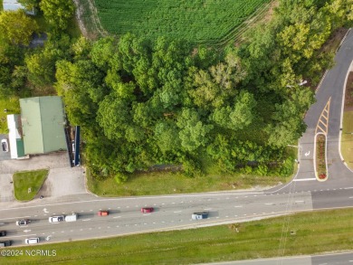 Commercial location in Ocean Isle Beach, NC :  27,000 Annual on Sea Trail Golf Resort in North Carolina - for sale on GolfHomes.com, golf home, golf lot
