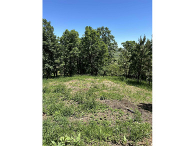 Welcome to this exclusive opportunity to own 17.25 acres in the on Elkhorn Ridge Golf Course in South Dakota - for sale on GolfHomes.com, golf home, golf lot