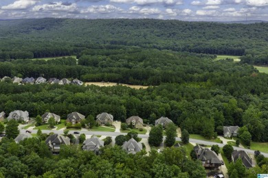Welcome to 816 Ballantrae Parkway, nestled in the prestigious on Ballantrae Golf Club in Alabama - for sale on GolfHomes.com, golf home, golf lot