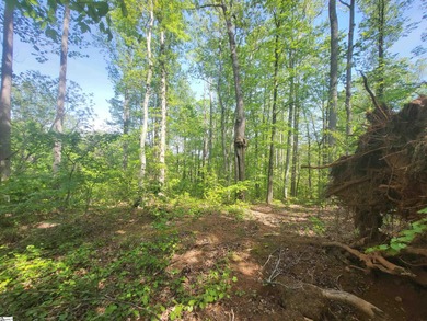 Wooded lot sitting above the road and a perfect spot to build on The Clubs at Cherokee Valley Golf Course in South Carolina - for sale on GolfHomes.com, golf home, golf lot