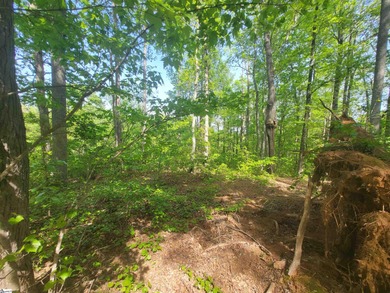 Wooded lot sitting above the road and a perfect spot to build on The Clubs at Cherokee Valley Golf Course in South Carolina - for sale on GolfHomes.com, golf home, golf lot