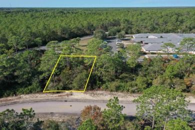 Are you looking for the perfect lot to build your future home? on St. James Bay in Florida - for sale on GolfHomes.com, golf home, golf lot