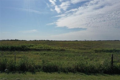 If you've been searching for wide-open space, peaceful country on Battle Lake Golf Course in Texas - for sale on GolfHomes.com, golf home, golf lot