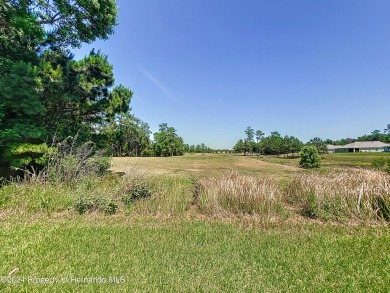 Beautifully maintained 4 bedroom, 2 bathroom home in the gated on Hernando Oaks Golf and Country Club in Florida - for sale on GolfHomes.com, golf home, golf lot