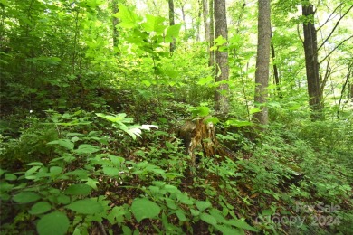 Build your dream mountain home right off of the beautiful Maggie on Maggie Valley Resort and Country Club in North Carolina - for sale on GolfHomes.com, golf home, golf lot