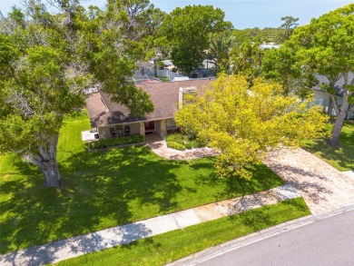 TRANQUIILITY at it's Finest! TRUE PEACE OF MIND ZONED - NO FLOOD on The Dunedin Country Club in Florida - for sale on GolfHomes.com, golf home, golf lot