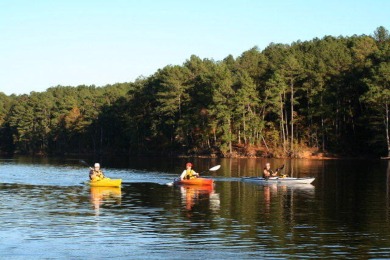 Very gentle slope Lake Lot in Shenandoah section of Savannah on Monticello Golf Club At Savannah Lakes in South Carolina - for sale on GolfHomes.com, golf home, golf lot