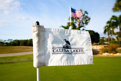 Welcome to refined Florida living in the heart of Calusa Lakes on Calusa Lakes Golf Club in Florida - for sale on GolfHomes.com, golf home, golf lot