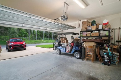Welcome to 29405 Cochiti Lake Drive, located in the gated 55+ on Tampa Bay Golf and Country Club in Florida - for sale on GolfHomes.com, golf home, golf lot