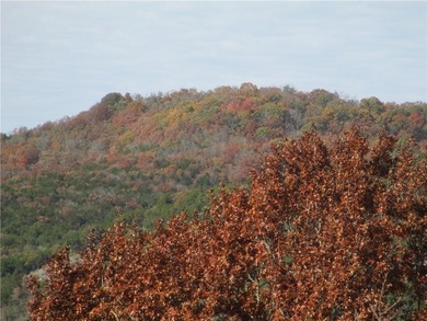A place to stay and a place to play.  This condo offers either on Holiday Island Executive Golf Course in Arkansas - for sale on GolfHomes.com, golf home, golf lot