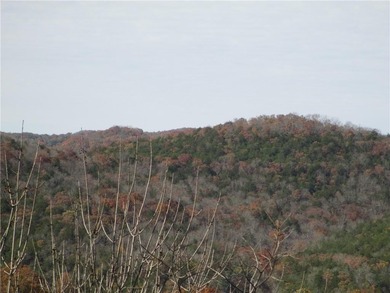 A place to stay and a place to play.  This condo offers either on Holiday Island Executive Golf Course in Arkansas - for sale on GolfHomes.com, golf home, golf lot