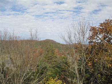 A place to stay and a place to play.  This condo offers either on Holiday Island Executive Golf Course in Arkansas - for sale on GolfHomes.com, golf home, golf lot