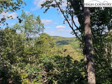 Welcome to this 3-bedroom, 3-bath mountain home with bonus room on Beech Mountain Club in North Carolina - for sale on GolfHomes.com, golf home, golf lot