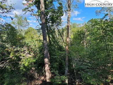 Welcome to this 3-bedroom, 3-bath mountain home with bonus room on Beech Mountain Club in North Carolina - for sale on GolfHomes.com, golf home, golf lot