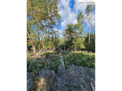 Welcome to this 3-bedroom, 3-bath mountain home with bonus room on Beech Mountain Club in North Carolina - for sale on GolfHomes.com, golf home, golf lot
