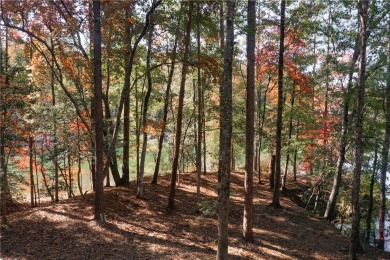 Discover the serene beauty of lakefront living at The Reserve at on The Reserve At Lake Keowee in South Carolina - for sale on GolfHomes.com, golf home, golf lot