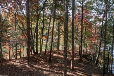 Discover the serene beauty of lakefront living at The Reserve at on The Reserve At Lake Keowee in South Carolina - for sale on GolfHomes.com, golf home, golf lot